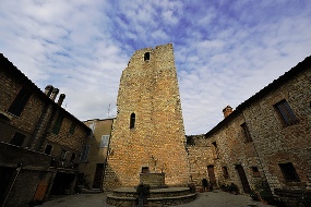 Torre San Savino Scavi